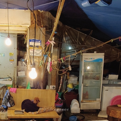 구남과여라이딩스텔라 - 모래내판타지